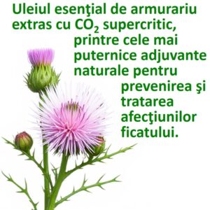 Ulei Esential de Armurariu Extras cu CO2 Supercritic - Supliment nutritional - imagine 3